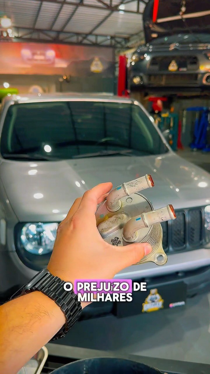 Caso técnico da Grizzly Garage mostrando diagnóstico automotivo